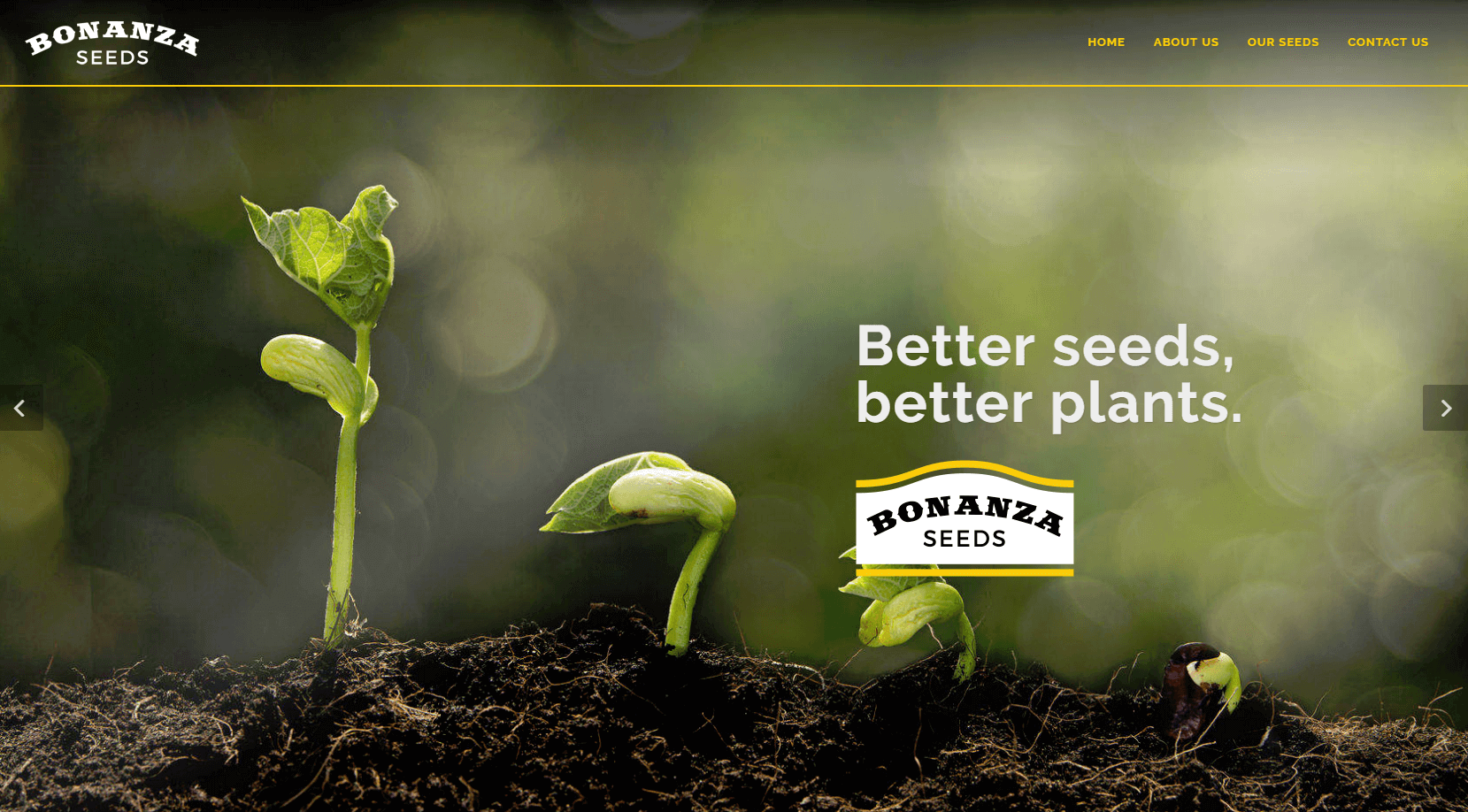 bonanza-seeds