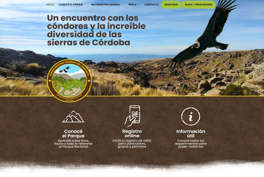 Experiencia digital