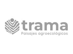 Trama Consultora
