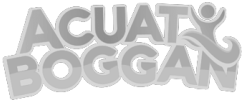 Acuatiboggan